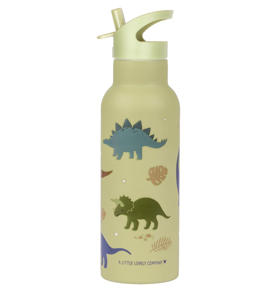 A Little Lovely Company - Borraccia in acciaio inossidabile, 500 ml - dinosauri