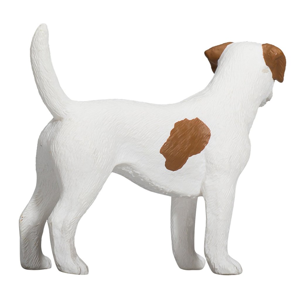 Mojo Jack Russell teriér (obrázek 4)