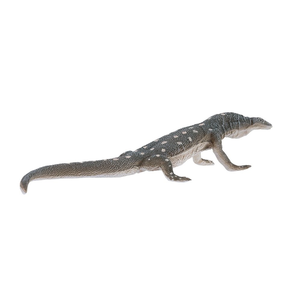 Mojo Varan obrovský (obrázek 7)