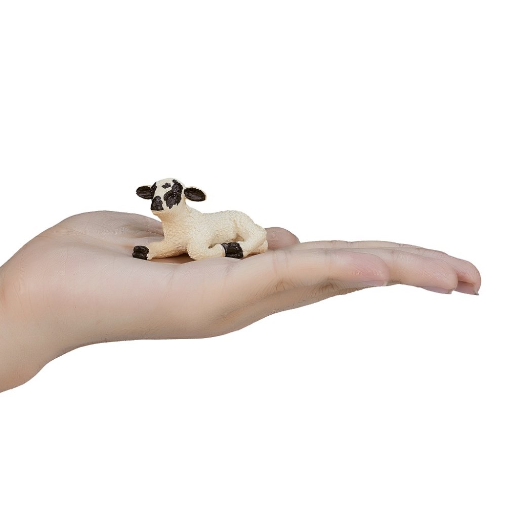 Mojo Hampshire jagnię leżące - obrazek 3