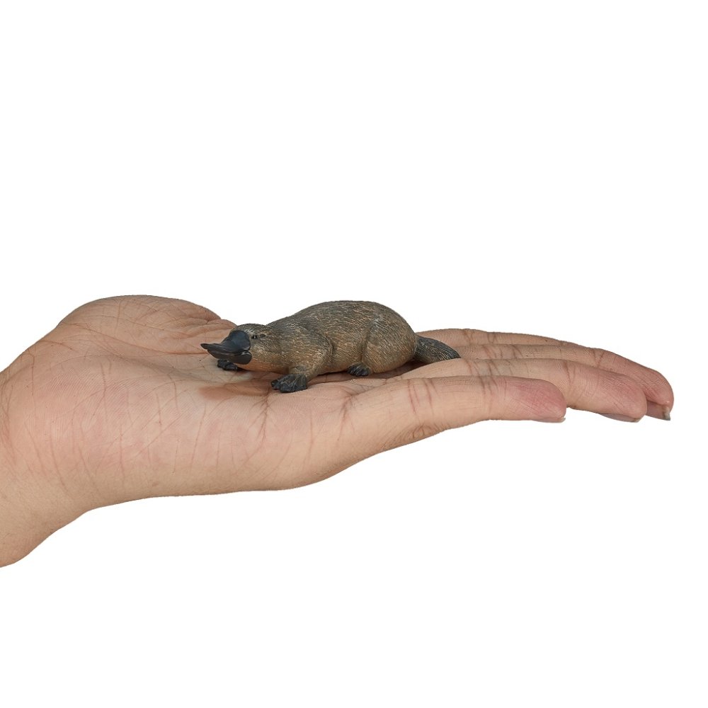 Mojo Ornitorinco bizzarro - immagine 3