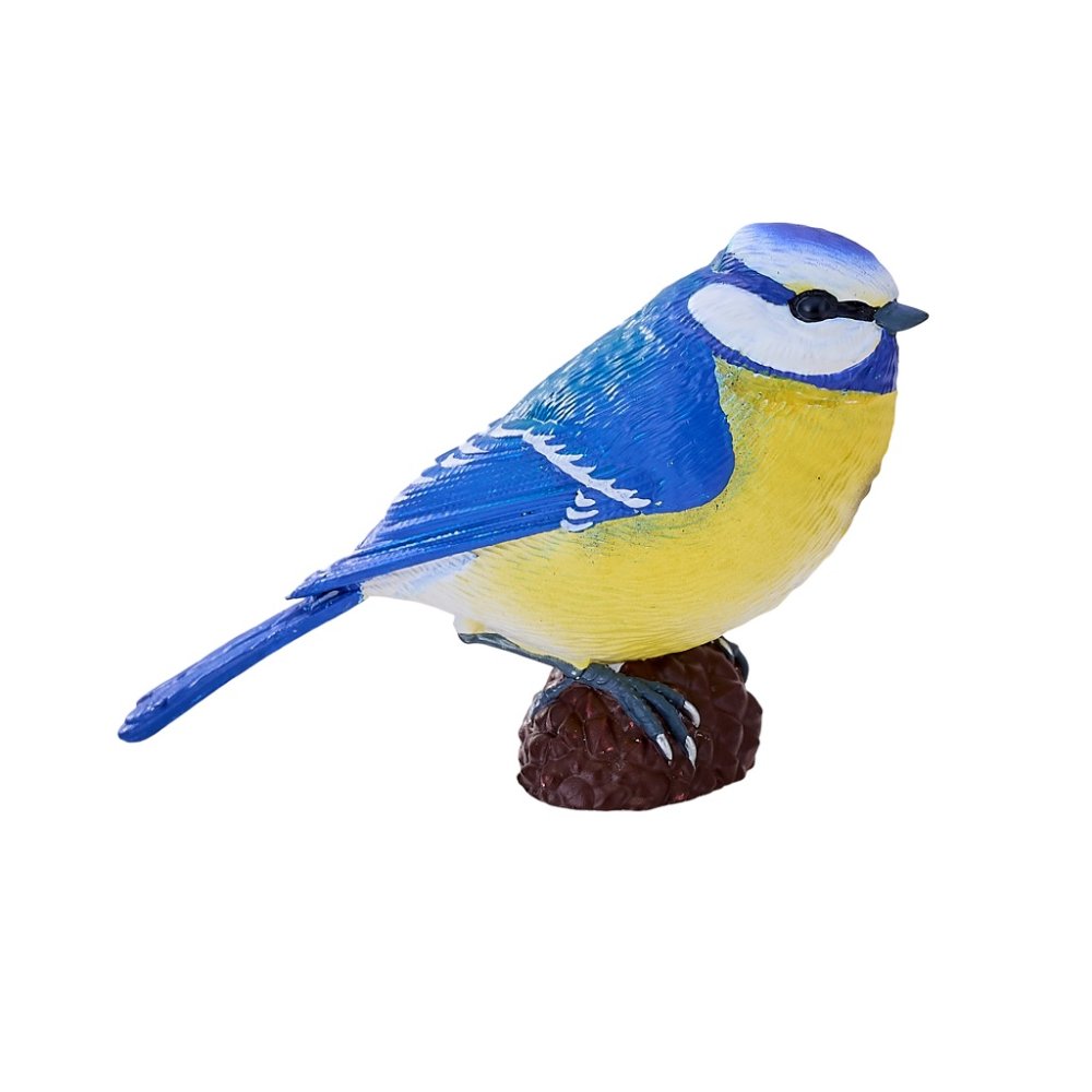 Mojo Herrerillo común - Imagen 6