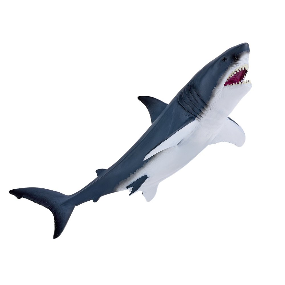 Mojo Großer Weißer Hai – Bild 5