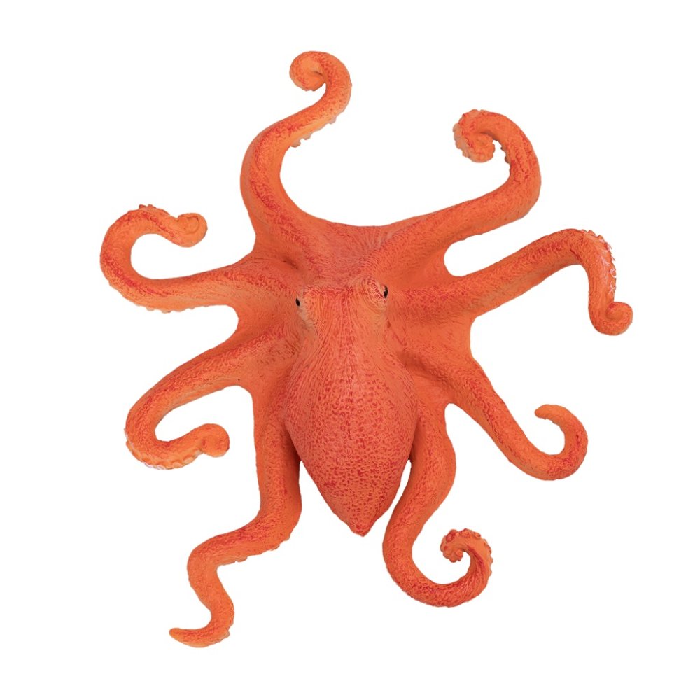 Mojo Chobotnice (obrázek 5)