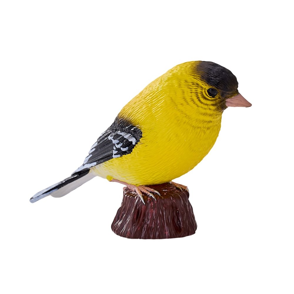 Mojo Serin cini jaune – Image 7