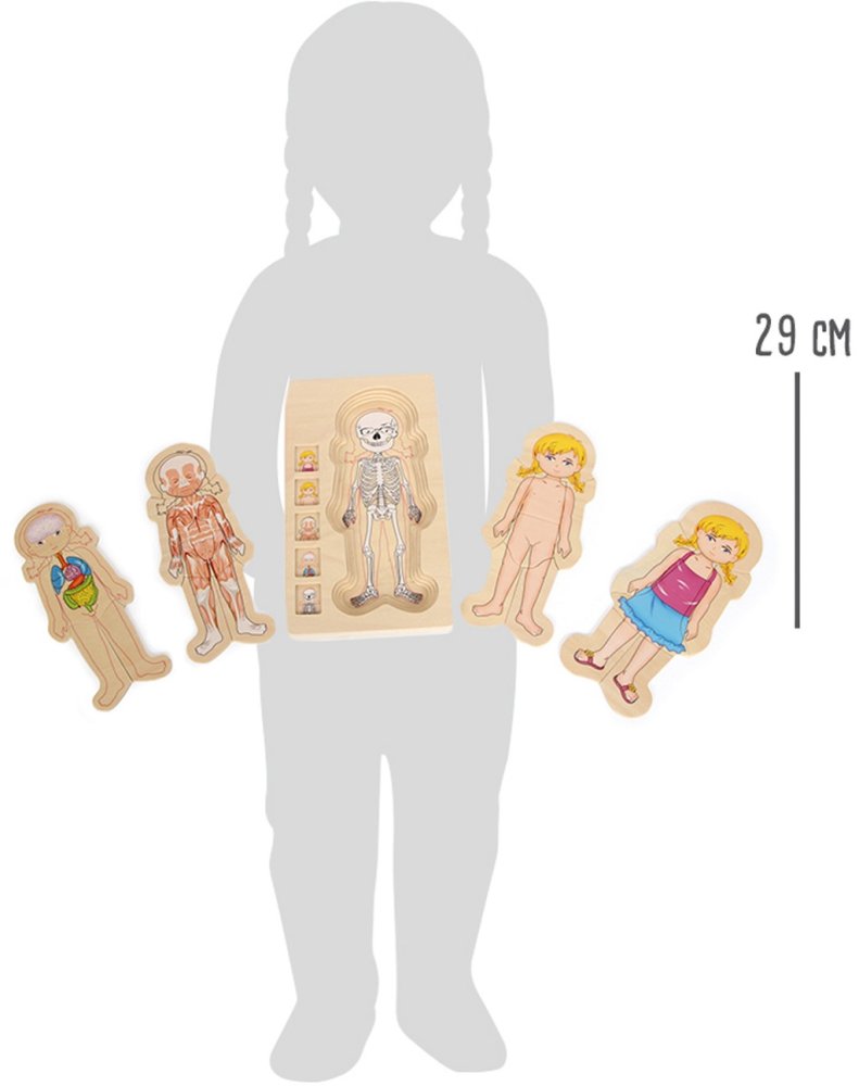 small foot Dřevěné puzzle anatomie (obrázek 3)