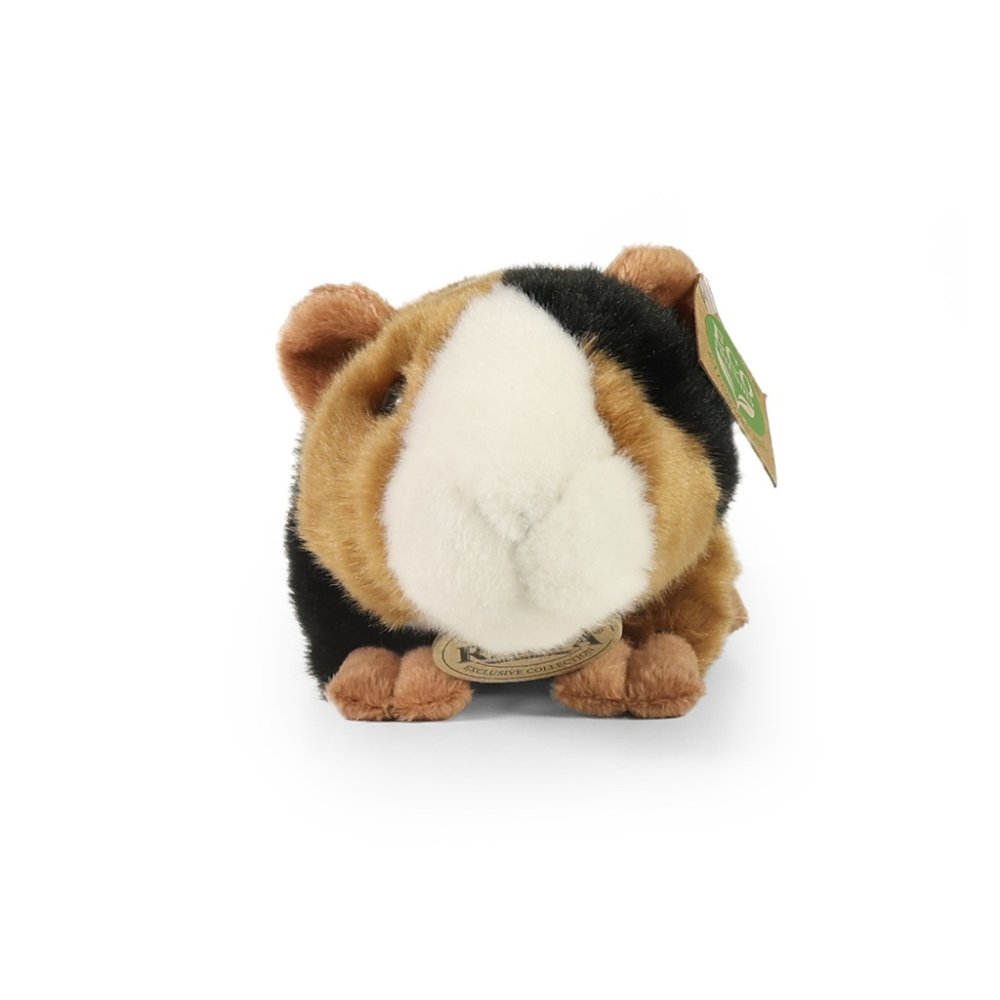 Rappa Plyšové morče 22 cm ECO-FRIENDLY (obrázek 4)