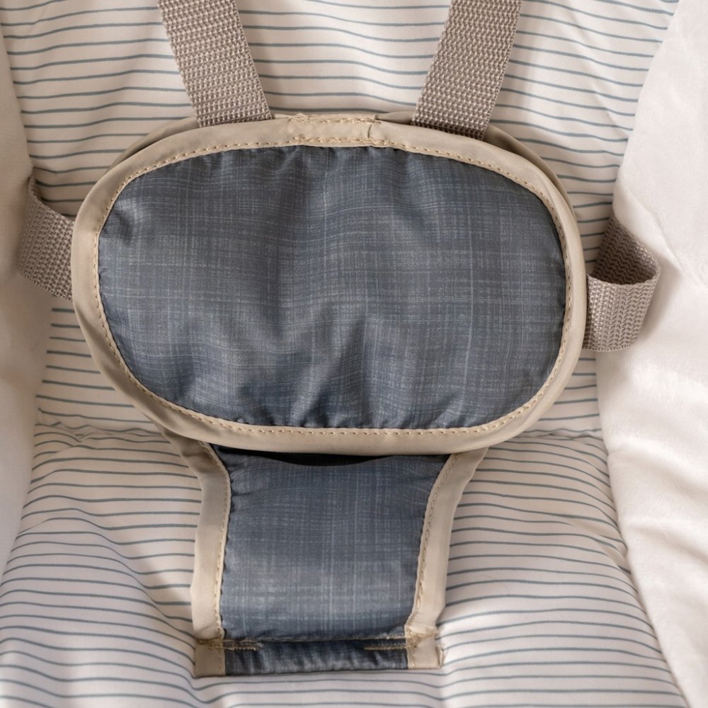 INGENUITY Converteerbare Schommel Met Swing'n Go Chambray-melodie 0m+ Tot 9kg