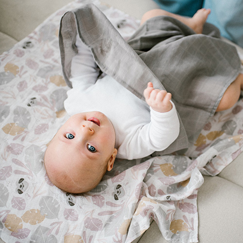 BABYONO Super Soft Muslin Diapers 3 Pcs - Grey, 70x70 Cm