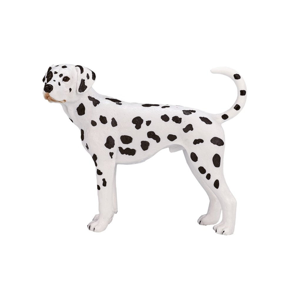 Mojo Dalmatien