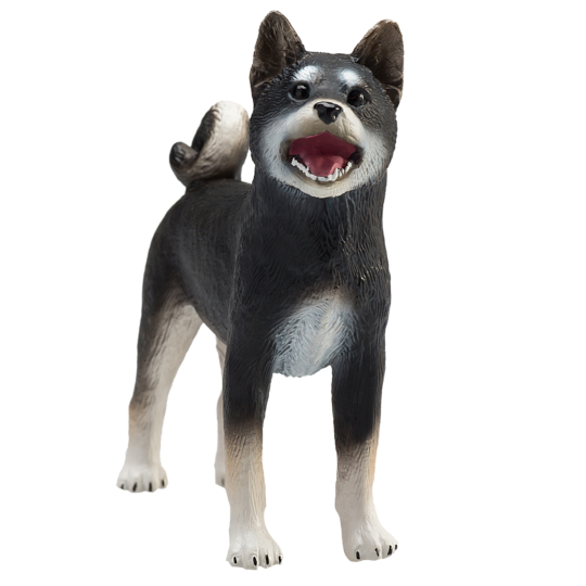 Mojo Chien Shiba Inu Noir