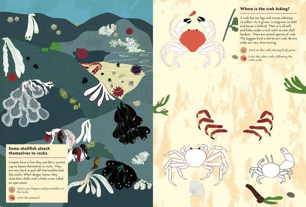 Chronicle Books Matricás foglalkoztató füzet - A tengerparton - Image 7