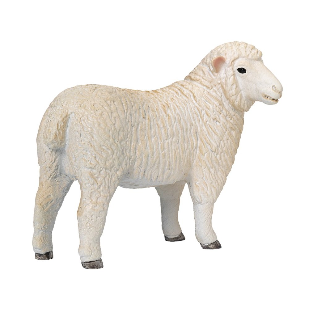 Mojo Ovce romney marsh (obrázek 3)