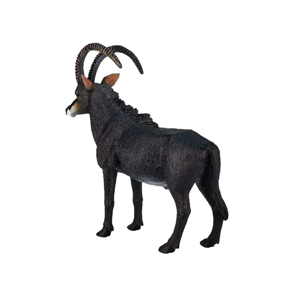 Mojo Antilopa vraná (obrázek 2)