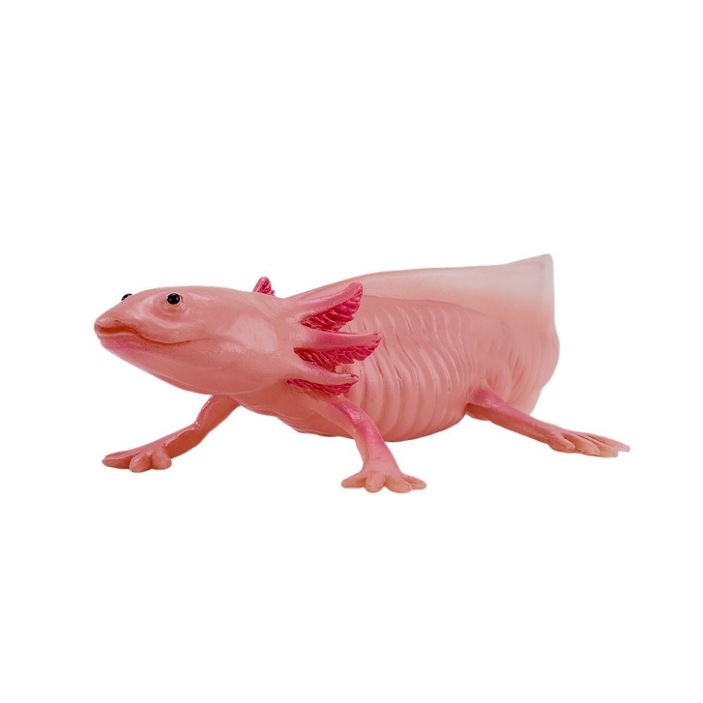 Mojo Axolotl (obrázek 6)
