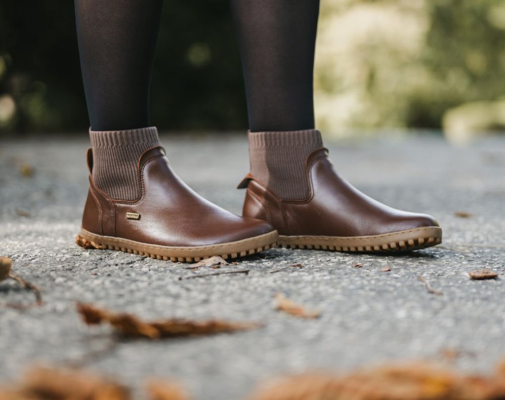 Barefoot Shoes Be Lenka Mojo - Dark Brown 39 Brown