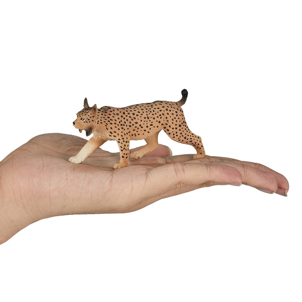 Mojo Lince eurasiatica - immagine 5