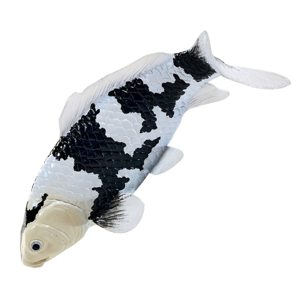 Mojo Karp koi shiro utsuri - obrazek 2