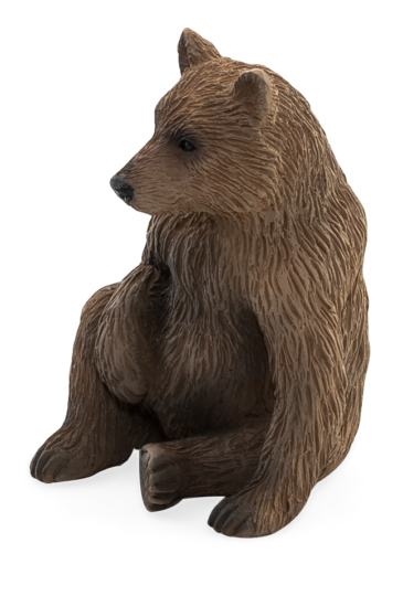 Mojo Medvěd grizzly mládě