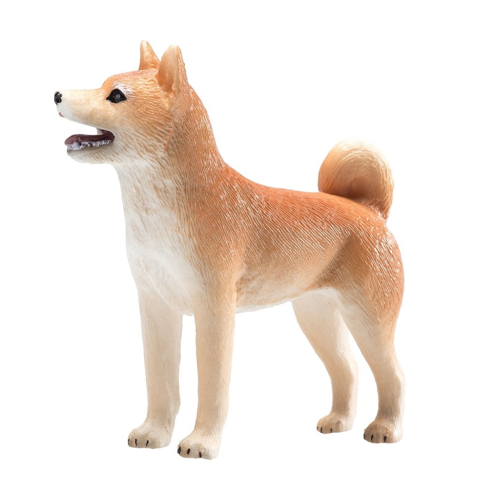Mojo Pes shiba-inu (zdjęcie 3)