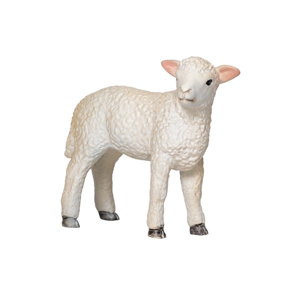 Mojo Jehňátko romney marsh stojící (obrázek 3)