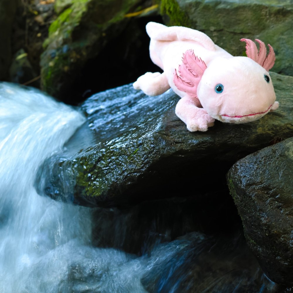 Rappa Plyšový axolotl 33 cm ECO-FRIENDLY (obrázek 4)