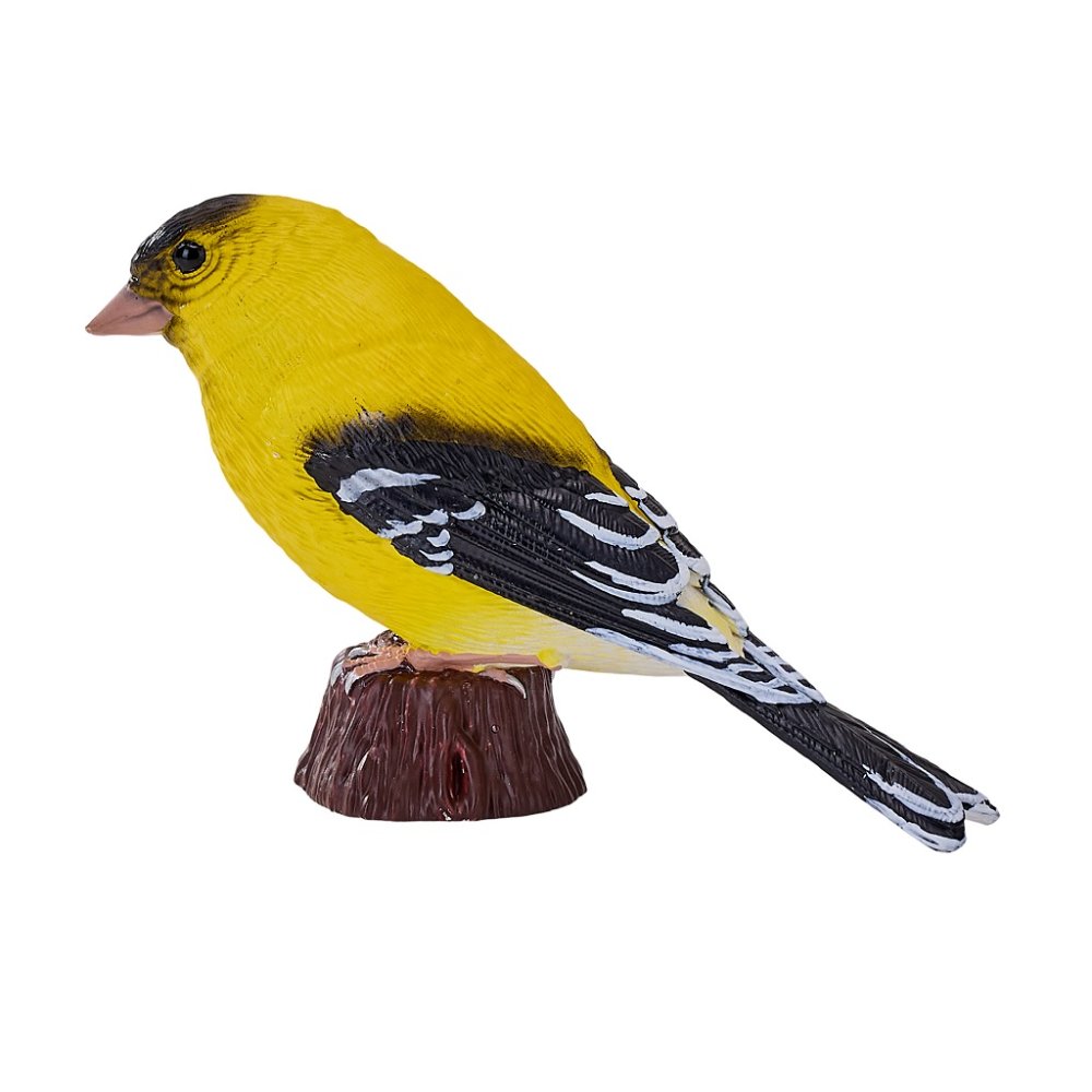 Mojo Serin cini jaune – Image 3