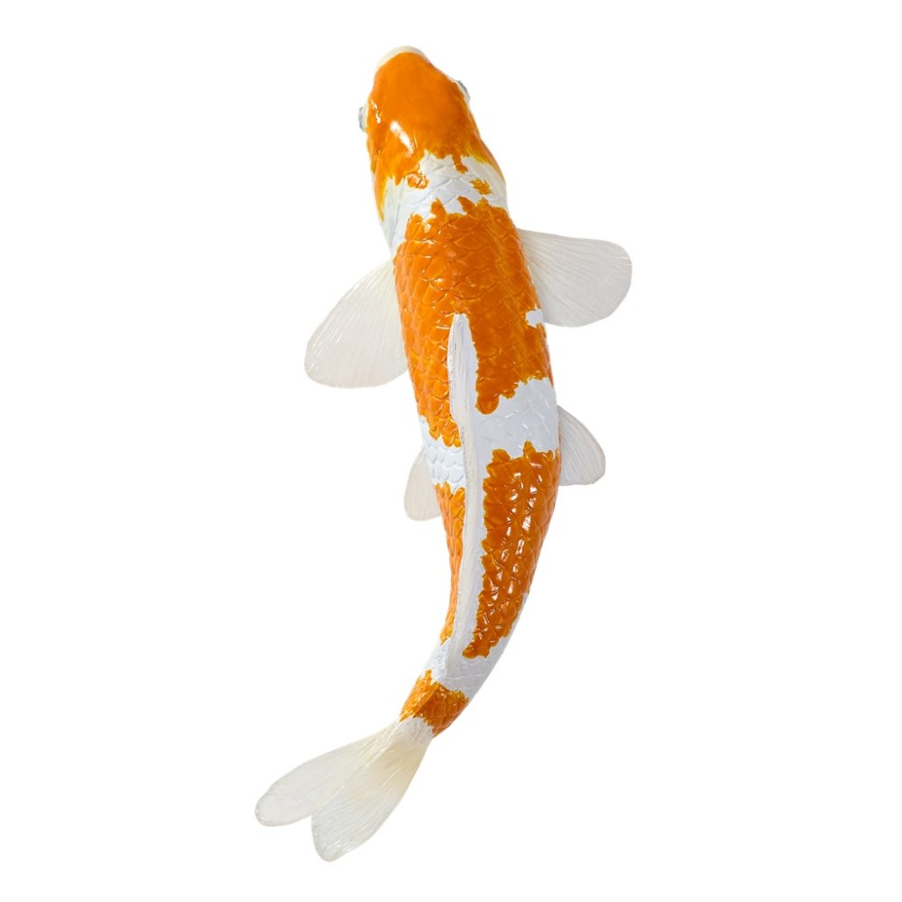 Mojo Kapr koi ochiba shigure (obrázek 10)