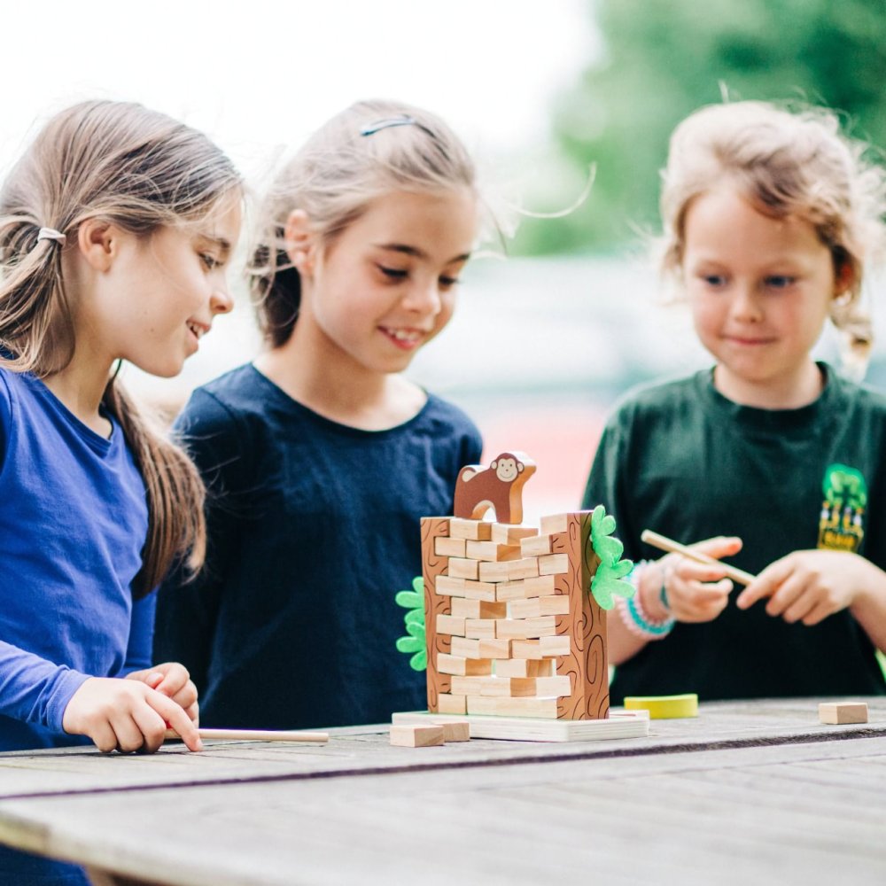 Bigjigs Toys Dřevěná motorická hra Padající džungle (obrázek 8)