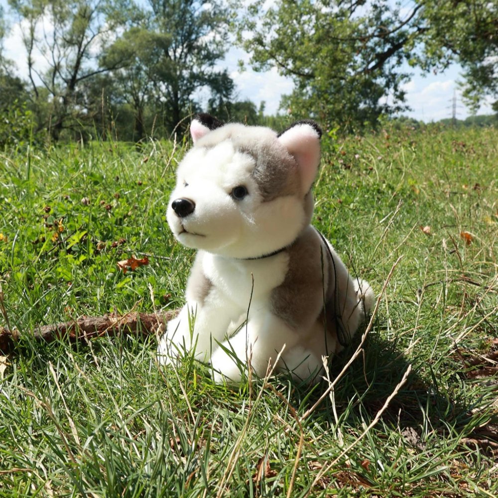 Rappa Plyšový pes husky sedící s vodítkem 28 cm ECO-FRIENDLY (obrázek 6)