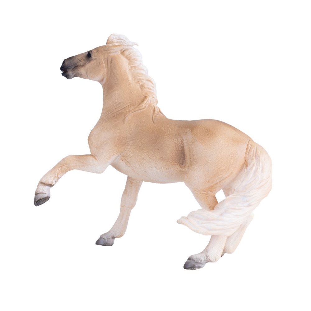 Mojo Kobyla Brumby (obrázek 6)