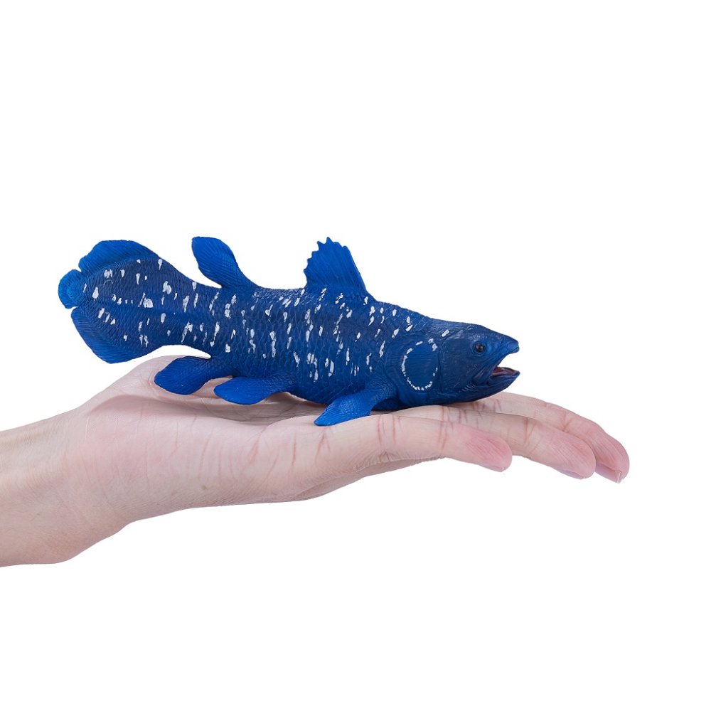 Mojo Coelacanthe – Image 3