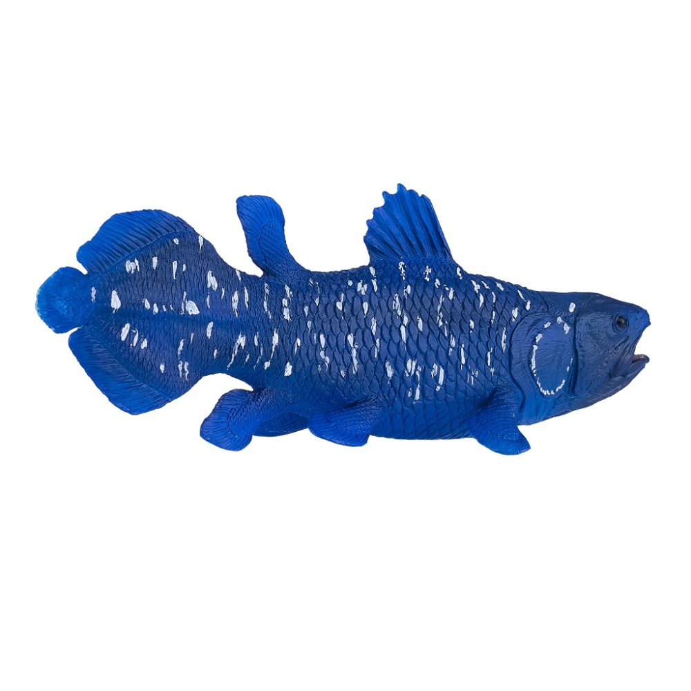 Mojo Coelacanthe – Image 5
