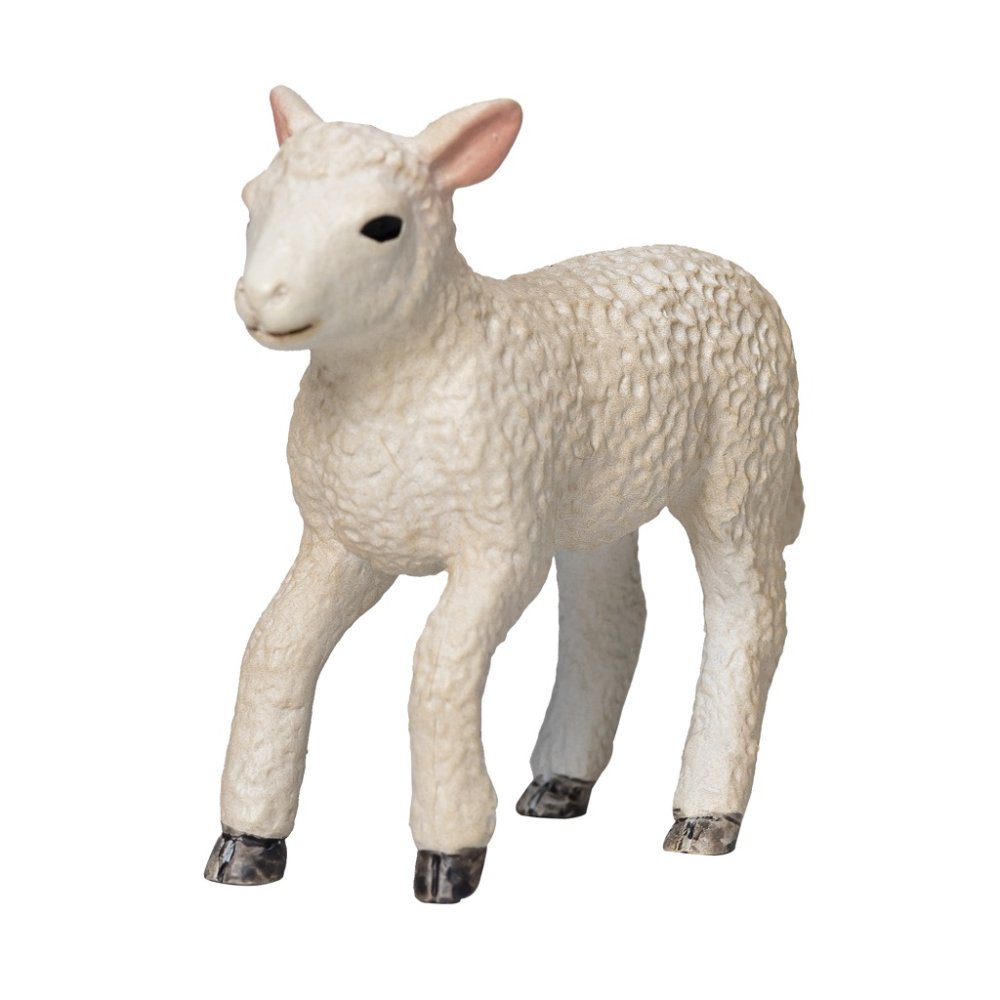 Mojo Agnello Romney Marsh che corre