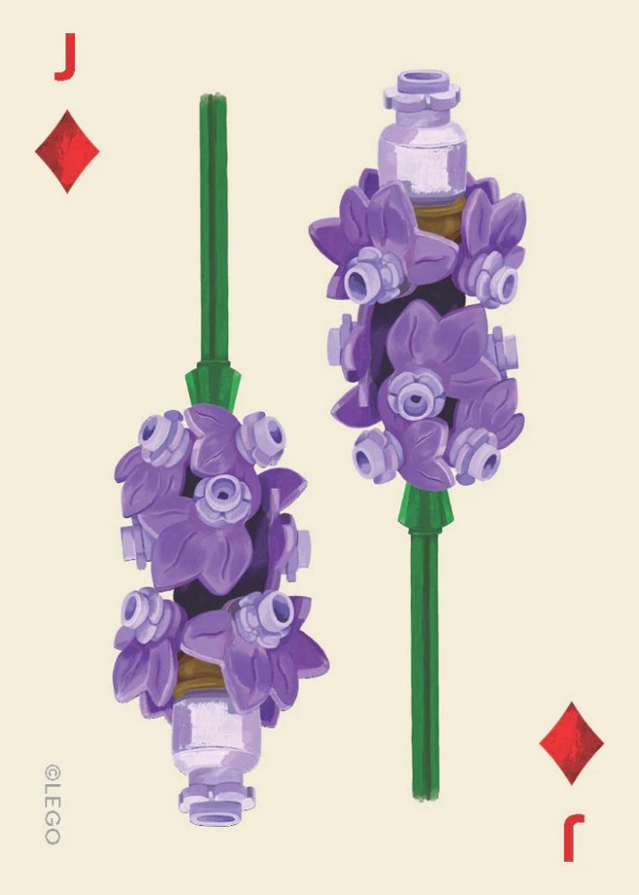 Chronicle Books LEGO® Botaniczny zestaw kart do gry - obrazek 4