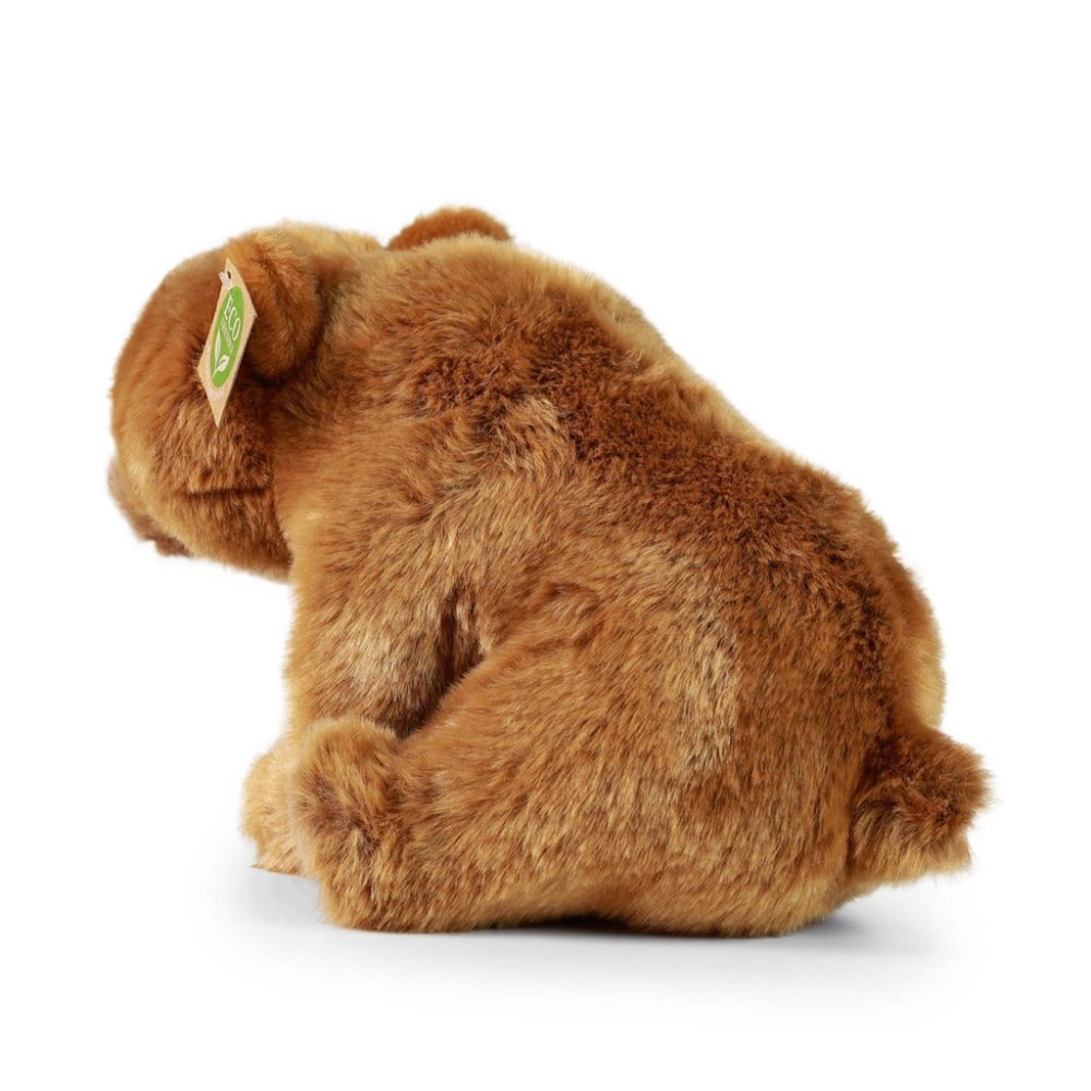 Rappa Plyšový medvěd grizzly sedící 30 cm ECO-FRIENDLY (obrázek 5)