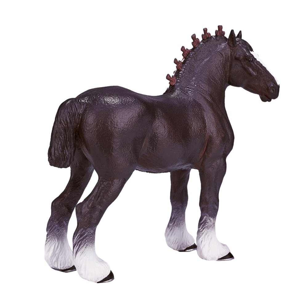 Mojo Shirský kůň (obrázek 6)
