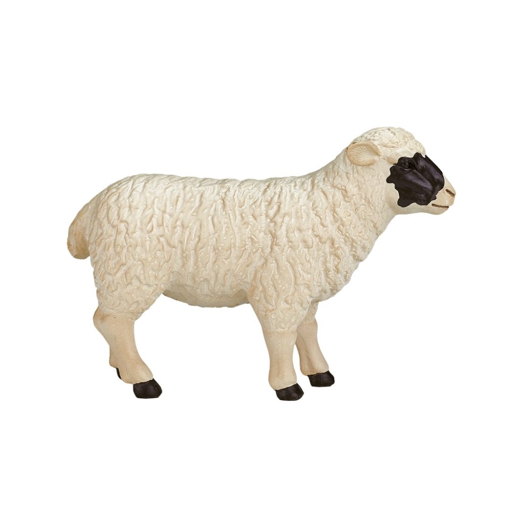 Owca Hampshire Mojo (zdjęcie 4)