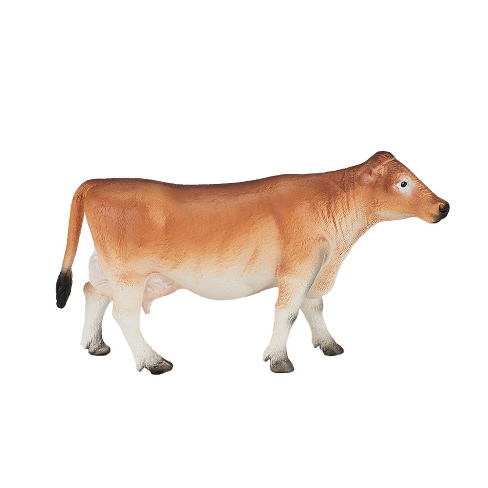 Mojo Jerseyská kráva (obrázek 2)